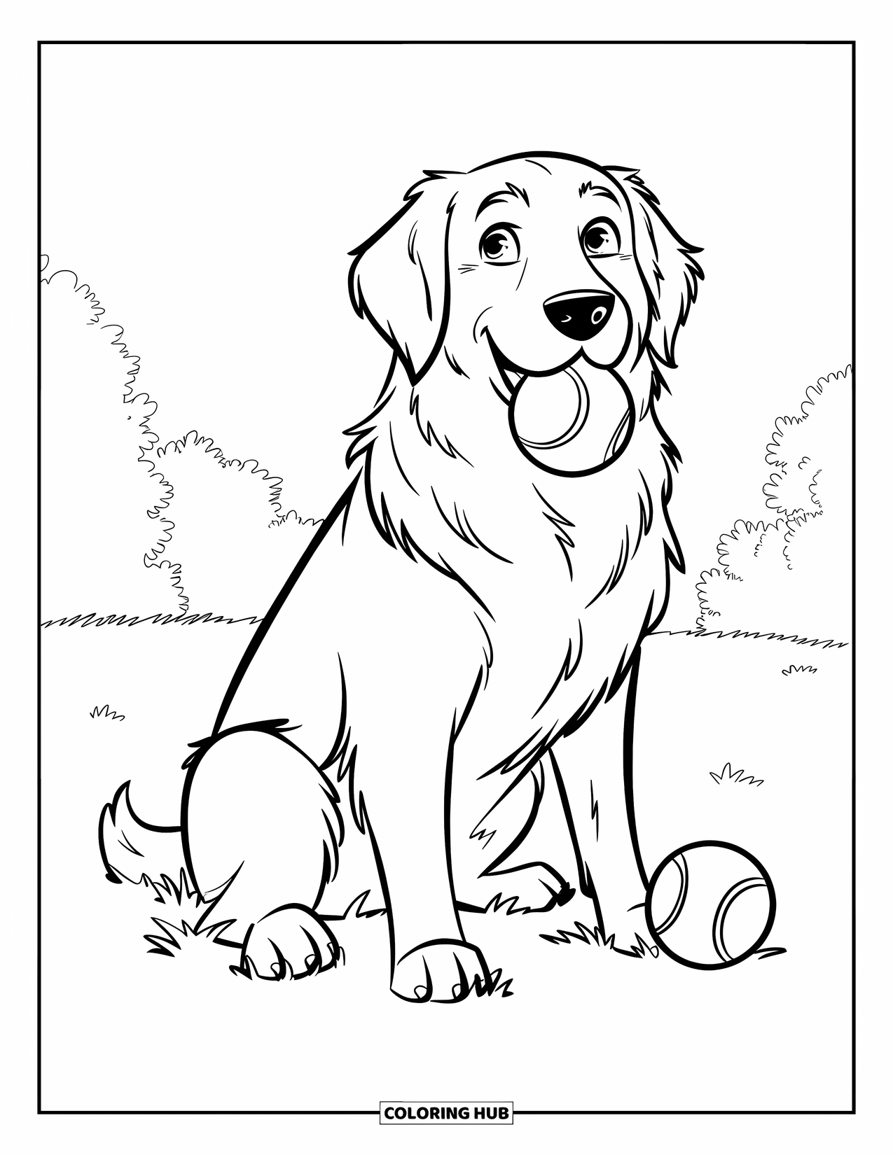 Golden Retriever Coloring Page for Kids: The dog sits in the grass with tennis balls at its side