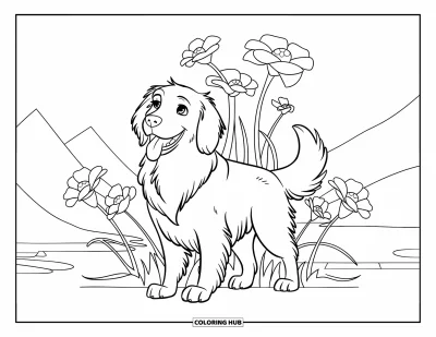 Desen de colorat cu Golden Retriever pentru copii: Câinele zâmbește și dă din coadă cu flori înflorite în fundal