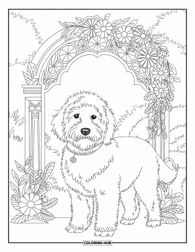 Coloriage de Goldendoodle pour adultes : Un Goldendoodle duveteux sous des arches florales sculptées entouré de verdure