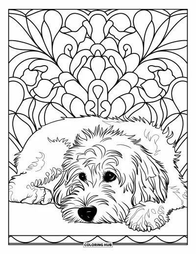 Coloriage de Goldendoodle pour adultes : Un Goldendoodle allongé paisiblement parmi des motifs floraux façon vitrail
