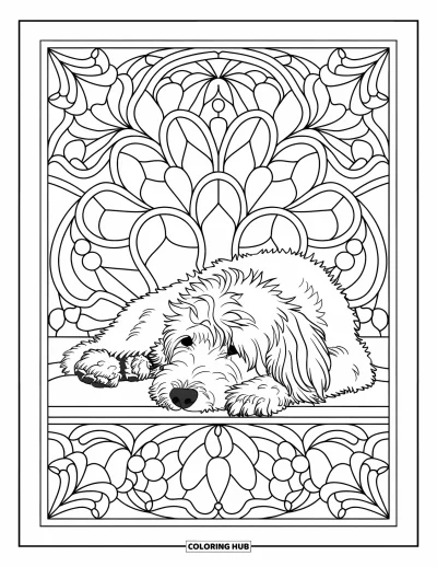 Coloriage de Goldendoodle pour adultes : Un Goldendoodle allongé la tête sur les pattes encadré de motifs floraux façon vitrail