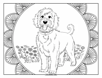 Coloriage de Goldendoodle pour adultes : Un Goldendoodle debout dans un champ de fleurs avec une bordure en mandala