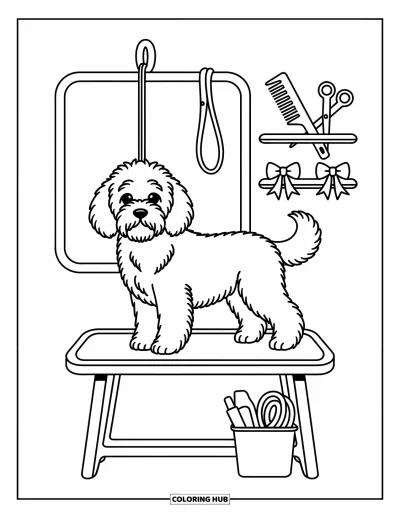 Coloriage de Goldendoodle pour adultes : Un Goldendoodle debout sur une table de toilettage avec des nœuds, un peigne et des ciseaux à côté