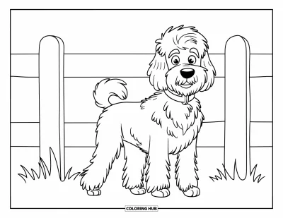 Coloriage de Goldendoodle pour enfants : Un Goldendoodle devant une clôture blanche dans un champ verdoyant