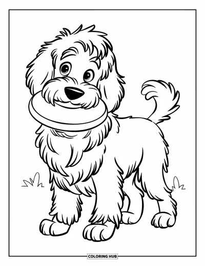 Coloriage de Goldendoodle pour enfants : Un Goldendoodle tenant un frisbee dans la gueule dans un champ herbeux