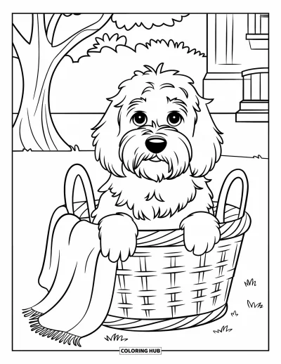 Coloriage de Goldendoodle pour enfants : Un Goldendoodle dans un panier dans un champ herbeux avec un arbre et un bâtiment