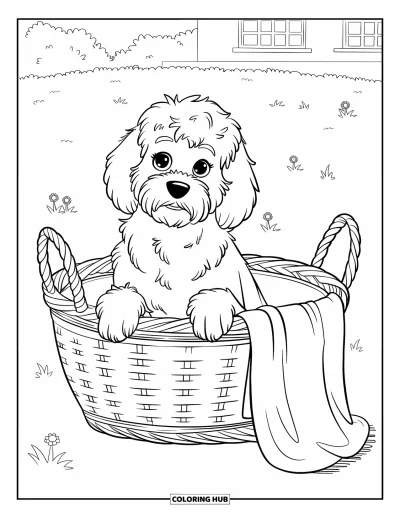 Coloriage de Goldendoodle pour enfants : Un Goldendoodle dans un panier en osier avec des fleurs dans un champ herbeux