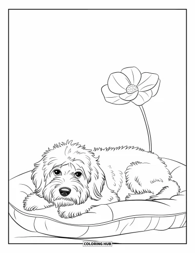 Coloriage de Goldendoodle pour enfants : Un Goldendoodle allongé sur un coussin avec une fleur dans un coin