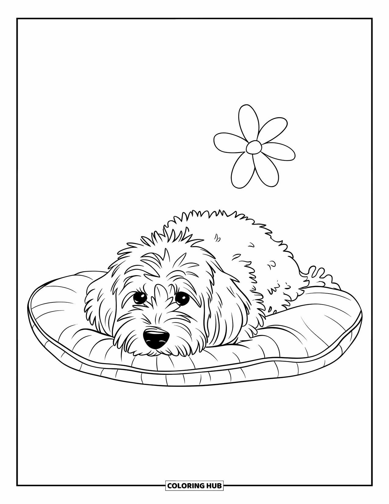 Goldendoodle Coloring Page for Kids: Goldendoodle lying on a cushion with a single flower nearby