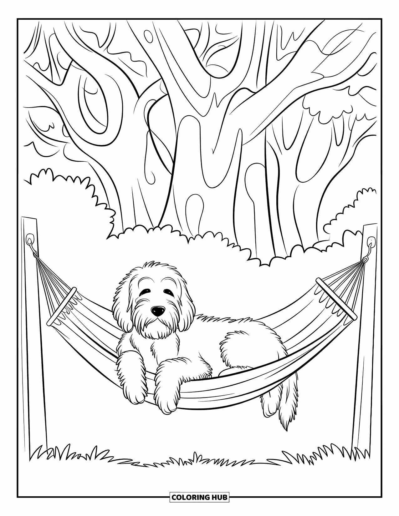 Goldendoodle Coloring Page for Kids: Goldendoodle lying on a striped hammock under intertwined tree branches