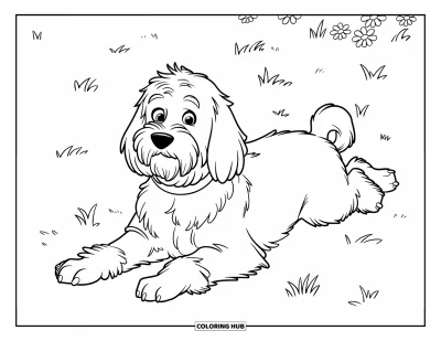 Coloriage de Goldendoodle pour enfants : Un Goldendoodle allongé sur le ventre dans un champ herbeux avec des fleurs