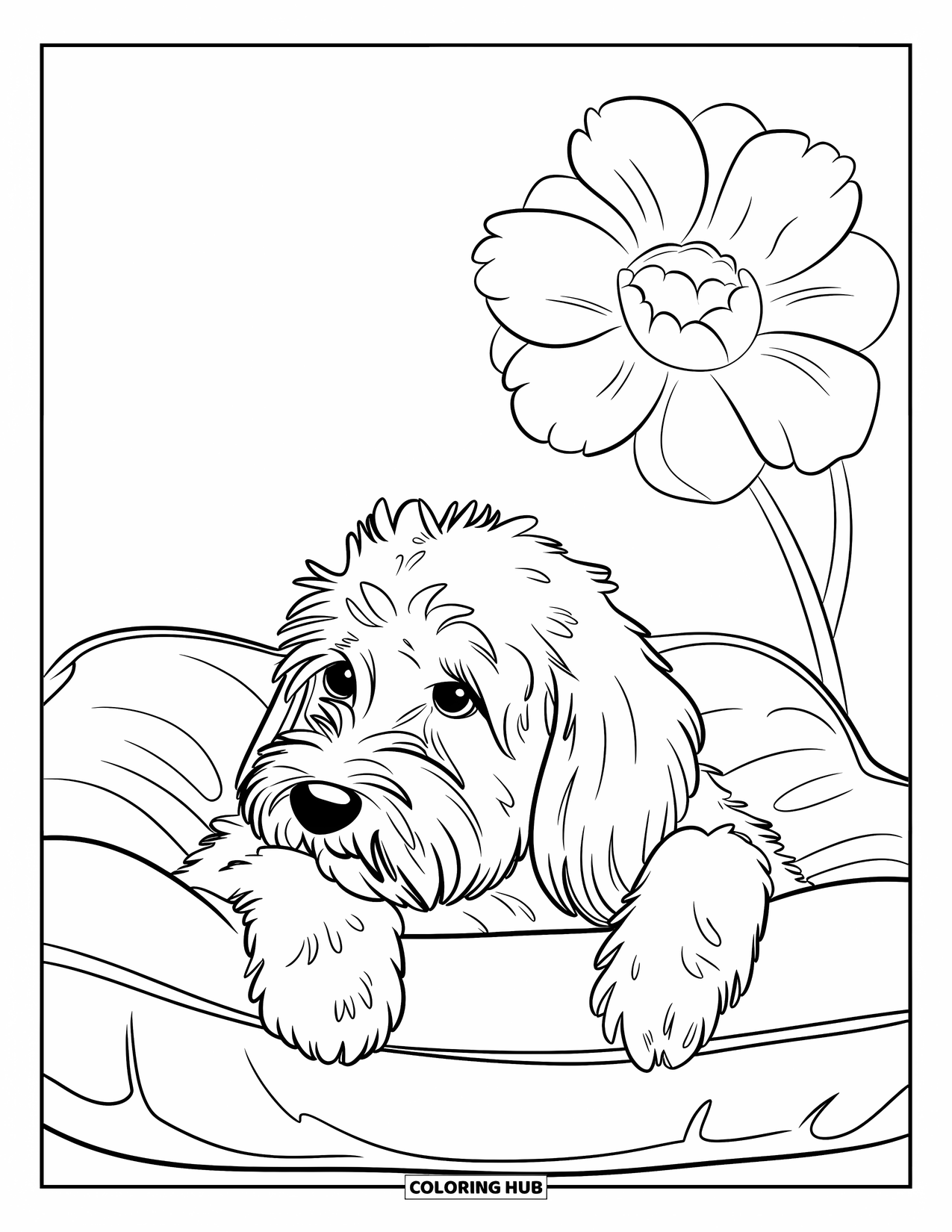 Goldendoodle Coloring Page for Kids: Goldendoodle resting on a cushion with a flower nearby