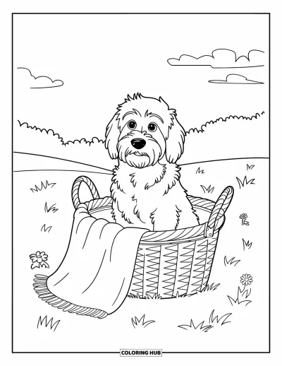 Coloriage de Goldendoodle pour enfants : Un Goldendoodle assis dans un panier avec une couverture dans un champ herbeux