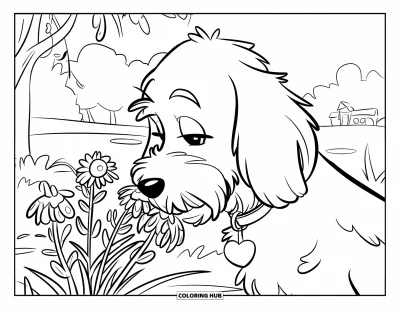 Coloriage de Goldendoodle pour enfants : Un Goldendoodle reniflant des fleurs sauvages dans un vase avec un bâtiment en arrière-plan