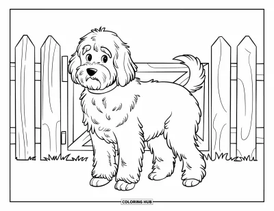 Coloriage de Goldendoodle pour enfants : Un Goldendoodle debout devant une simple clôture en bois avec un portail
