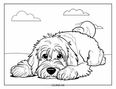 Coloriage de Goldendoodle pour enfants : Un Goldendoodle aux grands yeux allongé sur le ventre sous un ciel dégagé