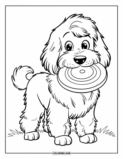 Coloriage de Goldendoodle pour enfants : Un Goldendoodle aux longues oreilles tenant un frisbee sur une pelouse courte