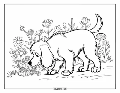 Coloriage de Goldendoodle pour enfants : Un Goldendoodle espiègle reniflant des fleurs sauvages sur un chemin de terre dans une prairie