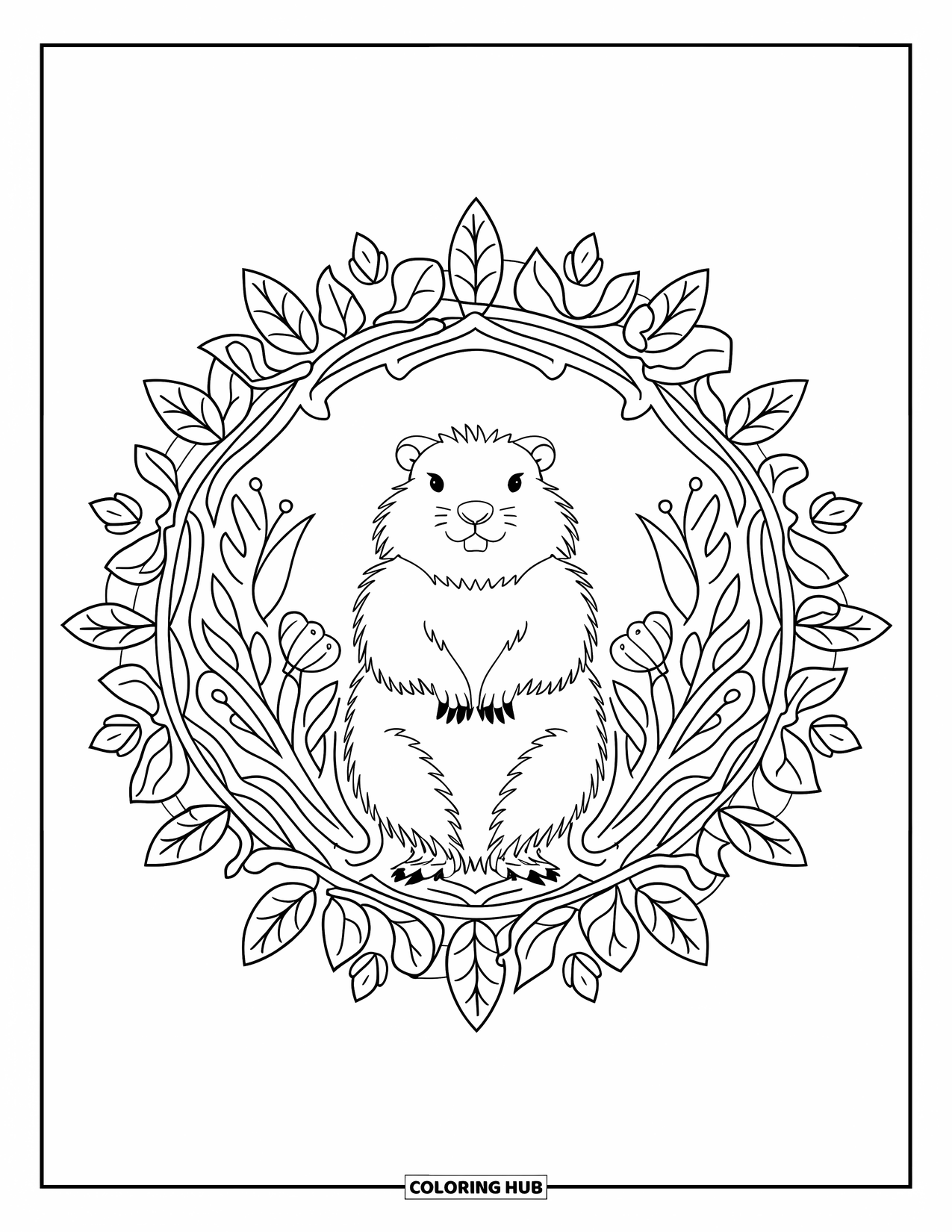 Groundhog Coloring Page for Adults: Groundhog in ornate botanical mandala with leaves and flowers
