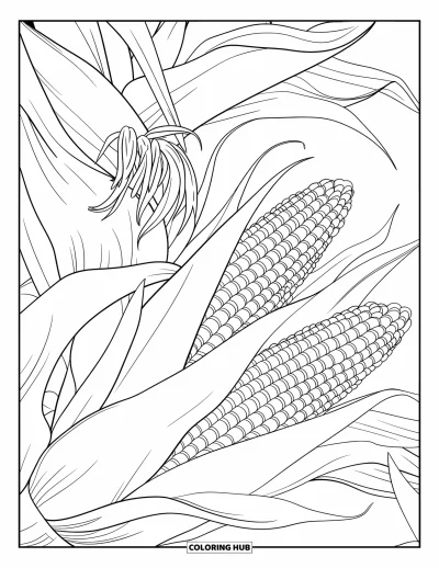 Coloriage de récolte pour adultes : Des feuilles et des épis de maïs superposés avec des fils de soie dans une vue rapprochée sereine
