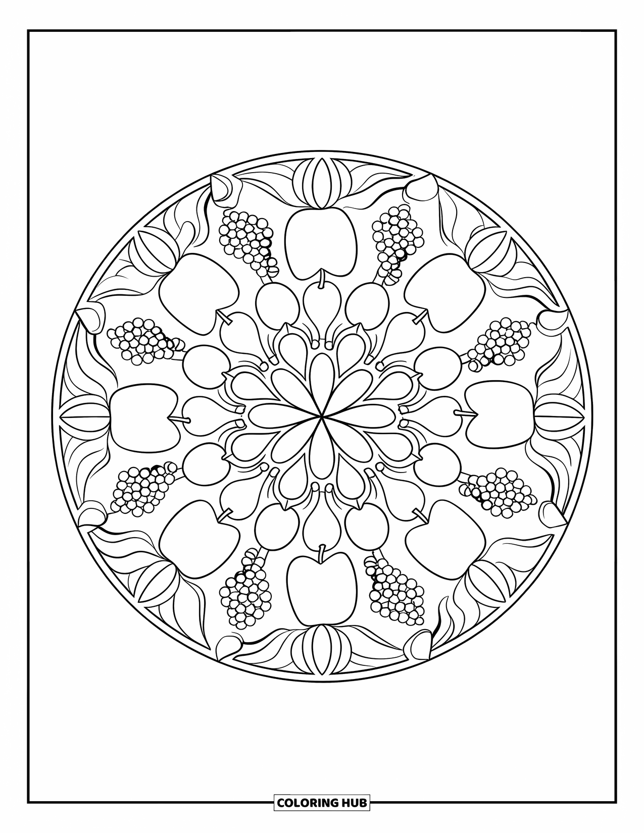 Harvest Coloring Page for Adults: Mandala pattern of apples, pears, and grapes framed with a decorative border