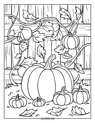 Coloriage de récolte pour enfants : Une grosse citrouille avec un visage repose parmi des vrilles, des feuilles et des courges éparpillées