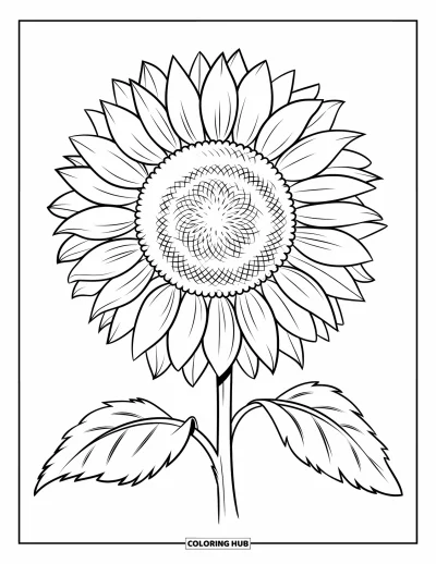 Coloriage de récolte pour enfants : Un grand tournesol aux pétales épais et à la tige robuste centré sur la page