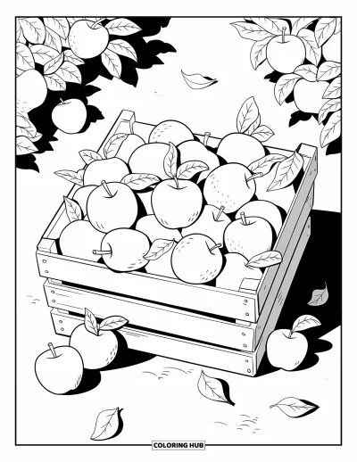 Coloriage de récolte pour enfants : Une caisse pleine de pommes avec des feuilles éparpillées et quelques pommes sur le sol