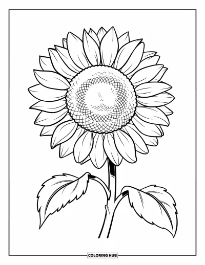 Coloriage de récolte pour enfants : Un grand tournesol aux pétales épais et à la tige solide et bouclée