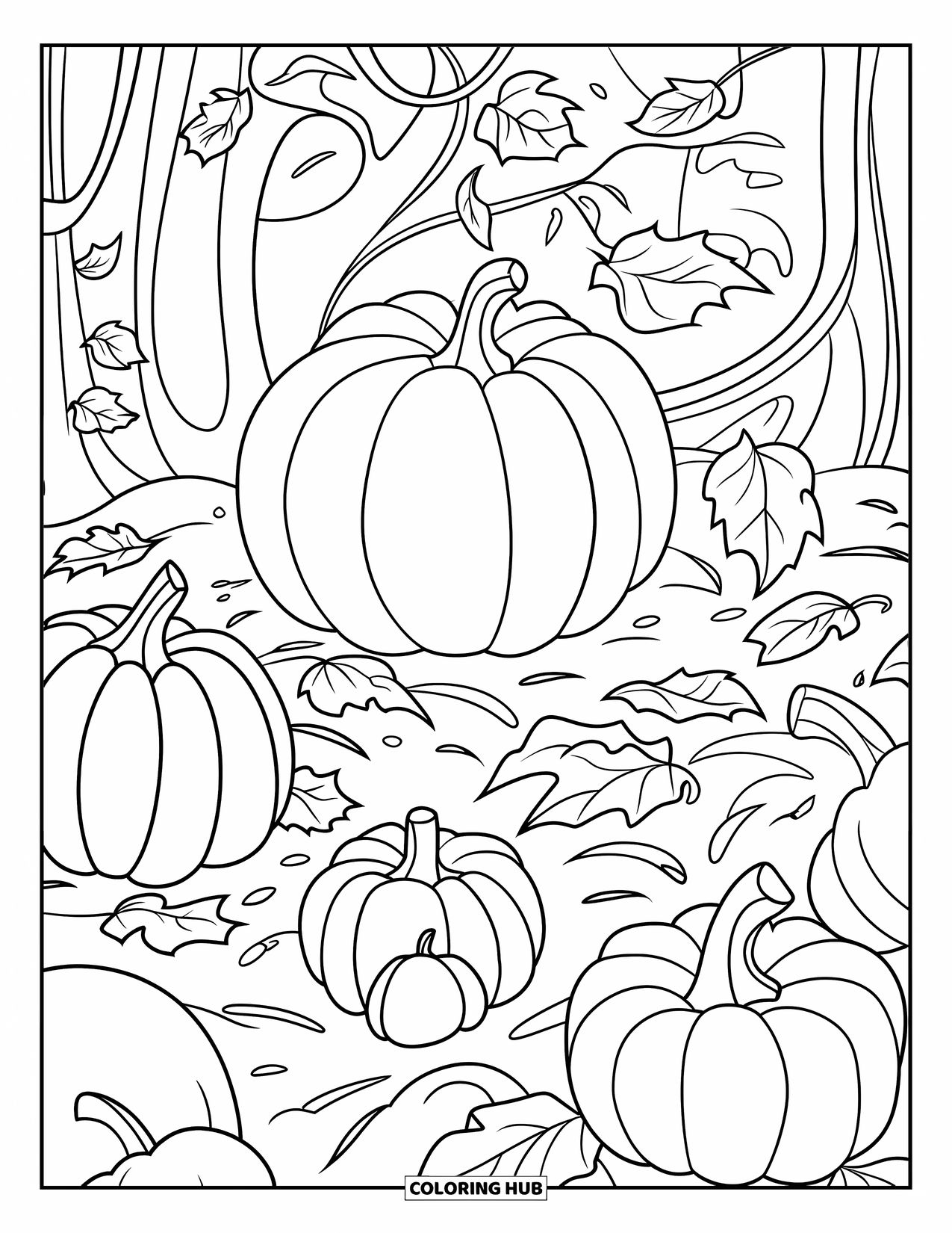 Harvest Coloring Page for Kids: A pumpkin patch full of vines, leaves, and pumpkins of different sizes