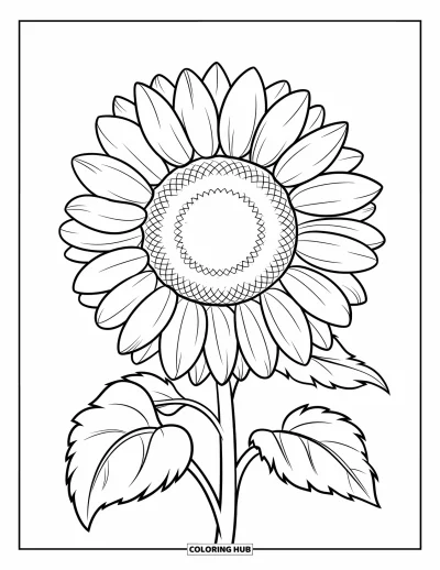 Coloriage de récolte pour enfants : Un seul grand tournesol aux pétales épais et à la tige robuste se dresse fièrement