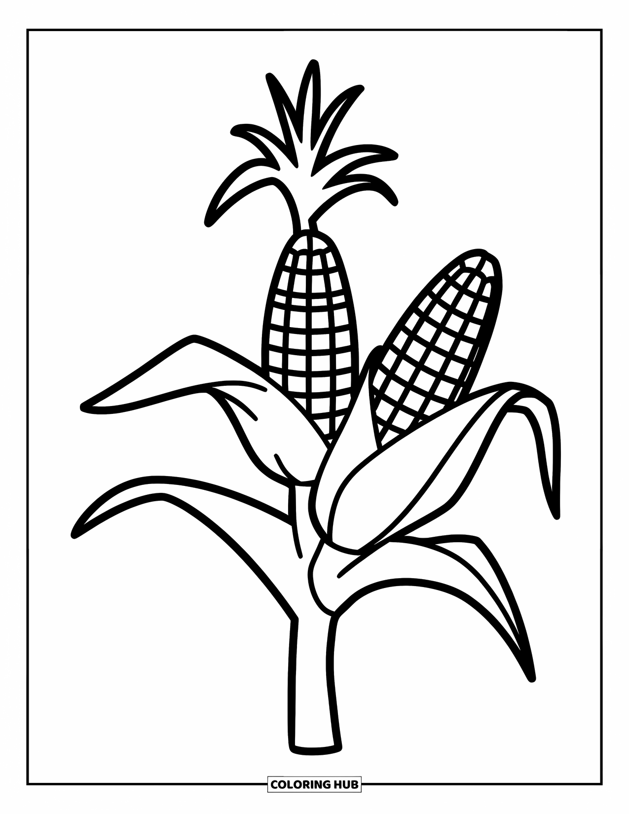 Harvest Coloring Page for Kids: A tall corn stalk with two ears of corn and a few leaves