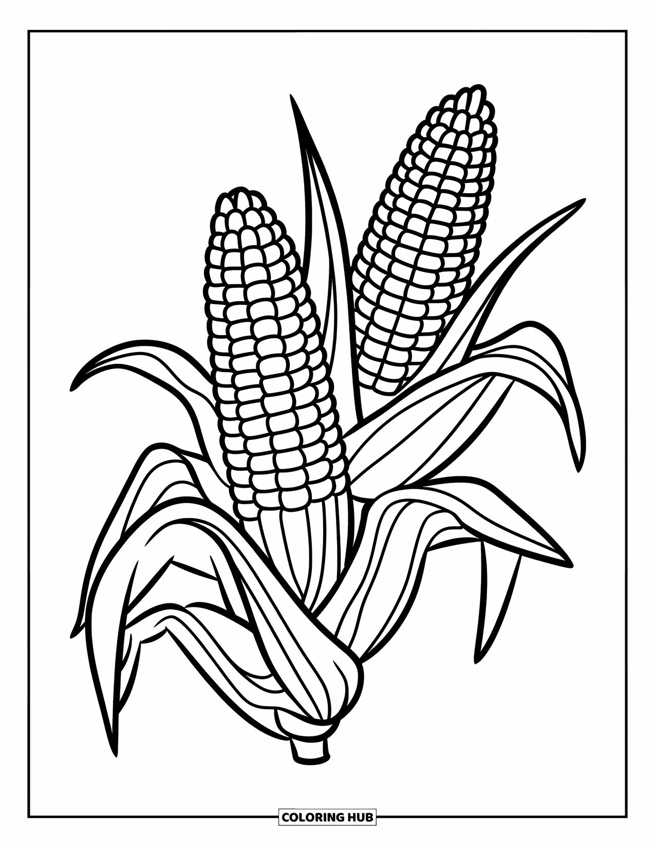 Harvest Coloring Page for Kids: A tall corn stalk with two round ears of corn at the top