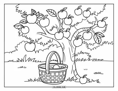 Coloriage de récolte pour enfants : Un pommier du verger chargé de fruits se dresse au-dessus d'un panier dans un pré