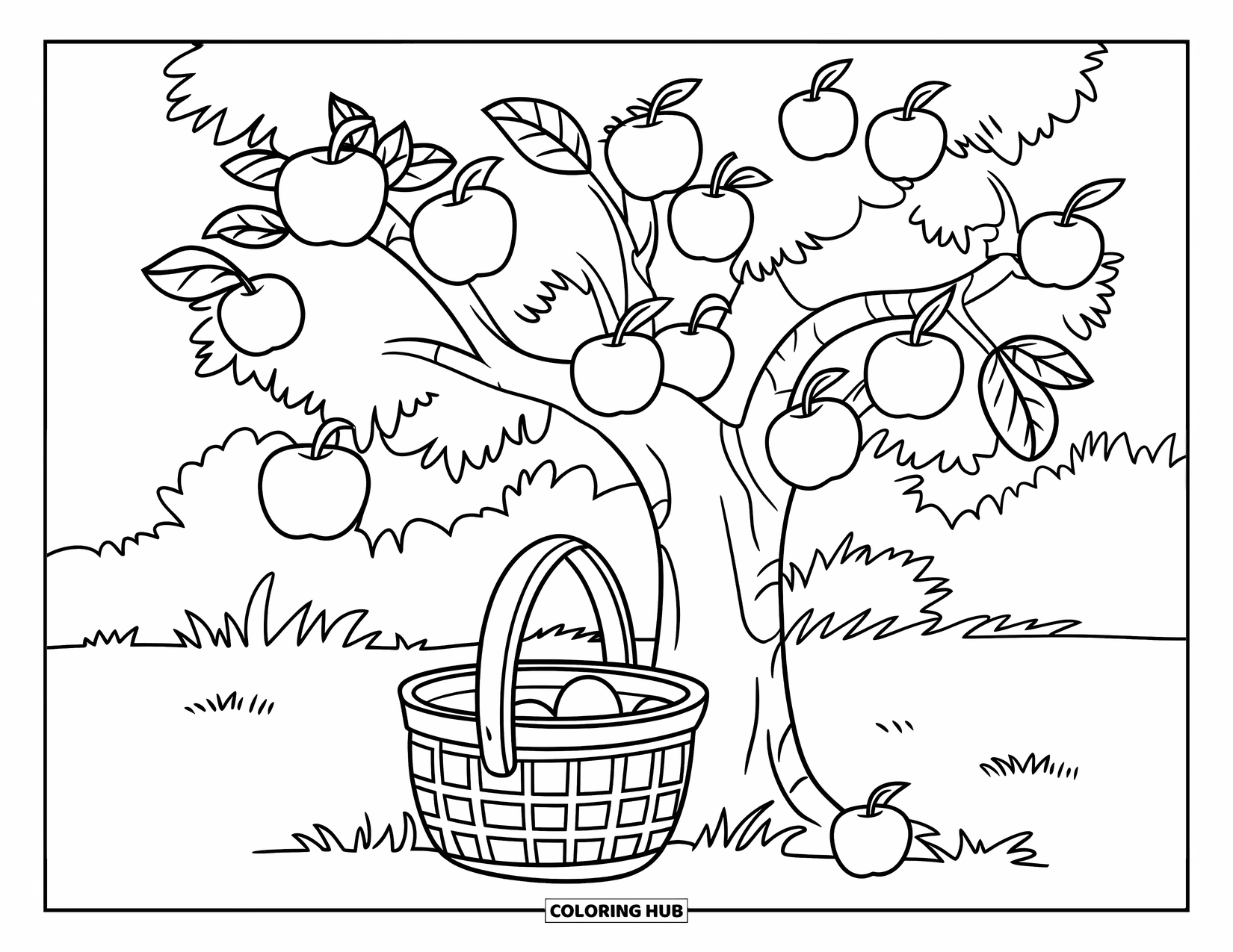Harvest Coloring Page for Kids: An orchard tree heavy with apples stands above a basket in a grassy field