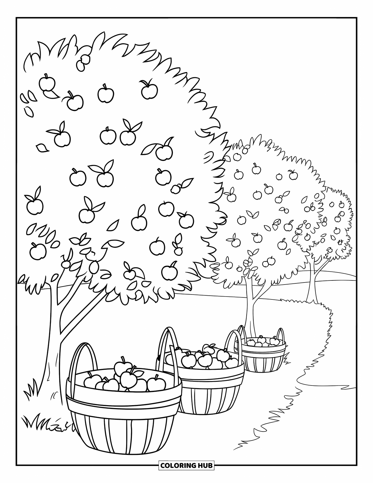 Harvest Coloring Page for Kids: Apple baskets sit under orchard trees heavy with fruit