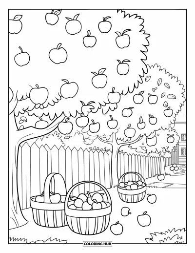 Coloriage de récolte pour enfants : Des paniers de pommes sous des pommiers avec une clôture et une maison à proximité