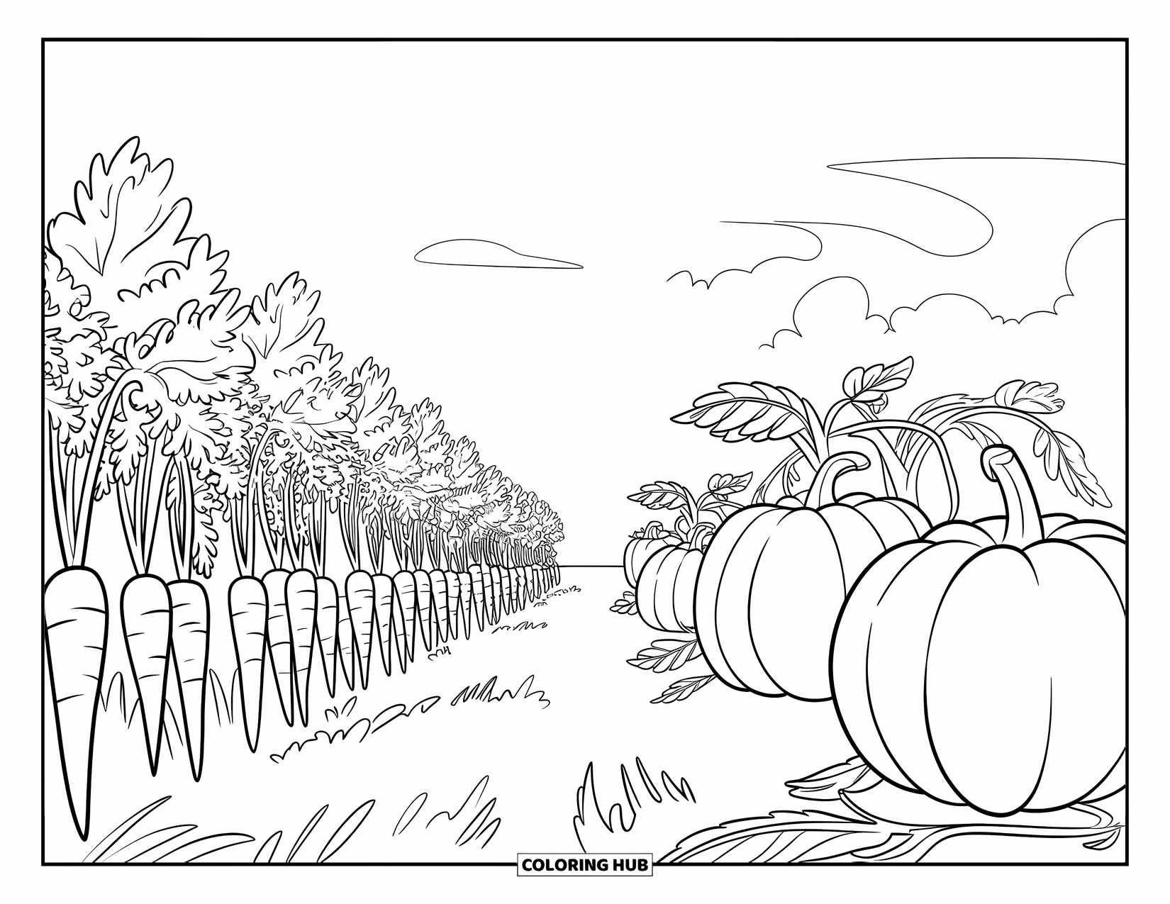 Harvest Coloring Page for Kids: Carrots and pumpkins fill long garden rows under a sky with soft clouds