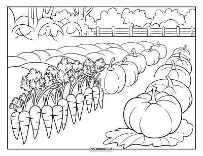 Coloriage de récolte pour enfants : Des carottes et des citrouilles poussent en rangées ordonnées dans un jardin prêt pour la récolte