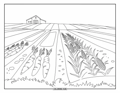 Coloriage de récolte pour enfants : Des carottes, des pommes de terre et du maïs poussent en rangées soignées près d'une grange