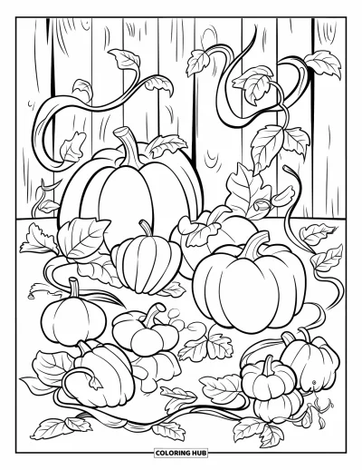 Coloriage de récolte pour enfants : Des citrouilles sculptées et des vrilles enchevêtrées remplissent un champ animé derrière une clôture rustique