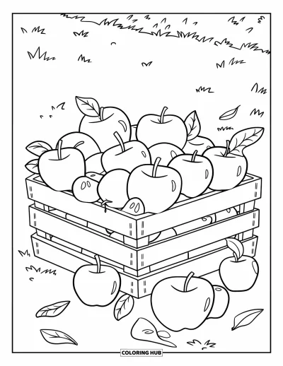 Coloriage de récolte pour enfants : Des pommes fraîches remplissent une caisse avec des feuilles éparpillées sur l'herbe