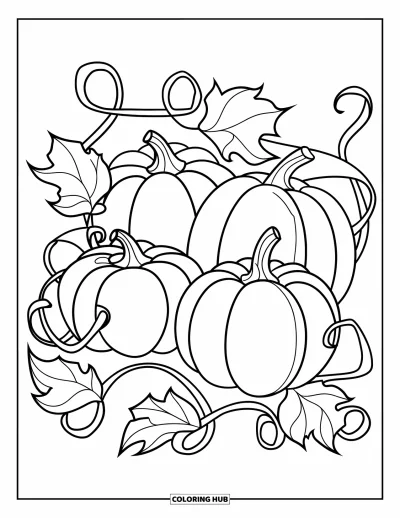 Coloriage de récolte pour enfants : Des citrouilles de différentes tailles avec de grosses vrilles et des feuilles ondulantes