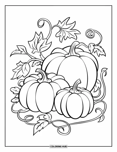 Coloriage de récolte pour enfants : Trois citrouilles originales avec des vrilles torsadées et de grandes feuilles bouclées