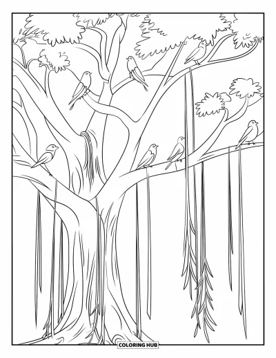 Coloriage d'Inde pour enfants : Banian avec des racines pendantes et des oiseaux perchés