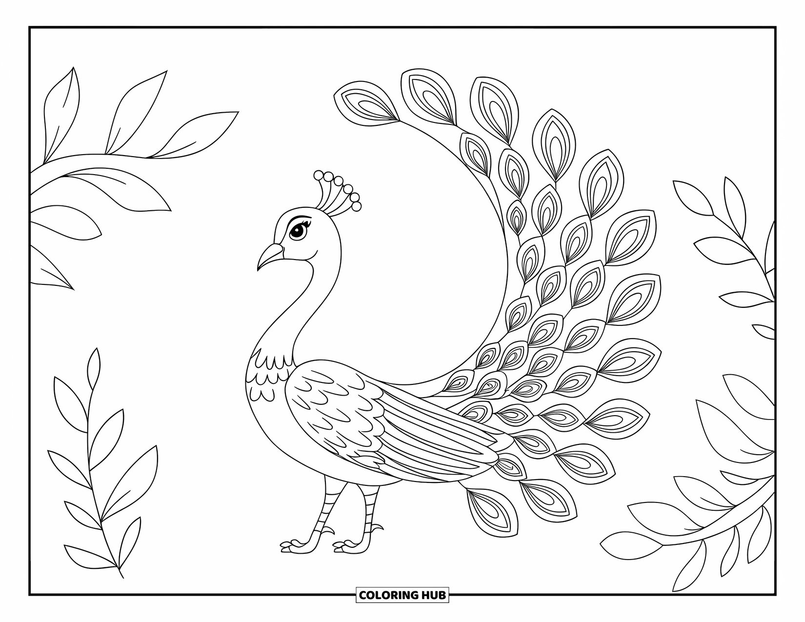 India Coloring Page for Kids: Peacock dancing with feathers spread in a semicircle