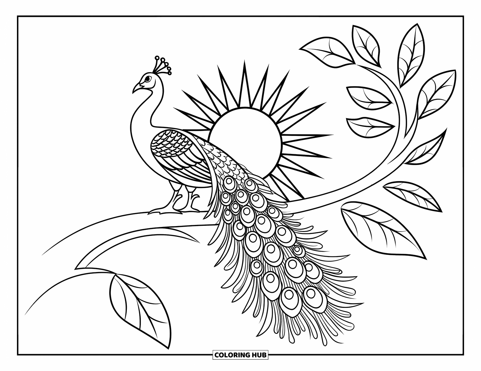 India Coloring Page for Kids: Peacock perched on a branch with the sun behind