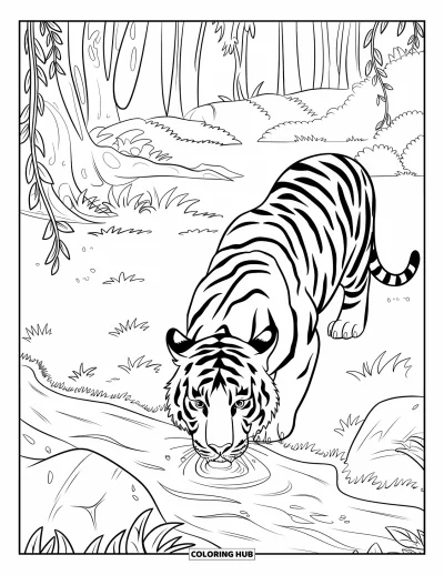 Coloriage d'Inde pour enfants : Tigre buvant dans un ruisseau de jungle avec des lianes
