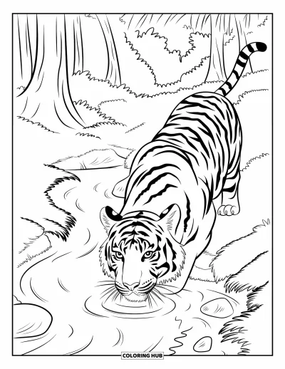 Coloriage d'Inde pour enfants : Tigre lapant de l'eau au bord de rochers et d'arbres