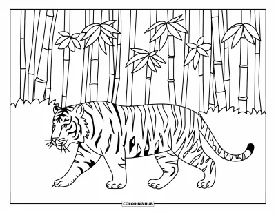 Coloriage d'Inde pour enfants : Tigre se promenant entre des bambous dans une forêt
